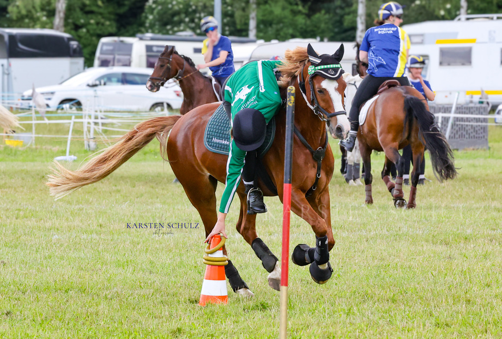 1B3A4501 | Reitsport Reiten