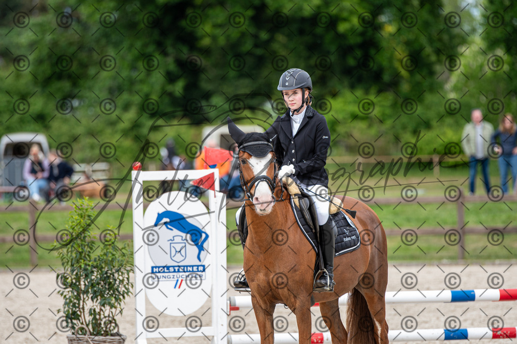 KPT_6287 | andre_photographic