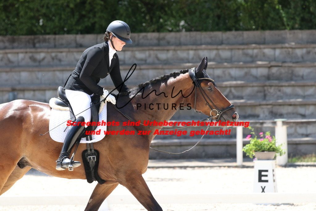 IMG_4916 | lmwpictures - Realisiert mit Pictrs.com