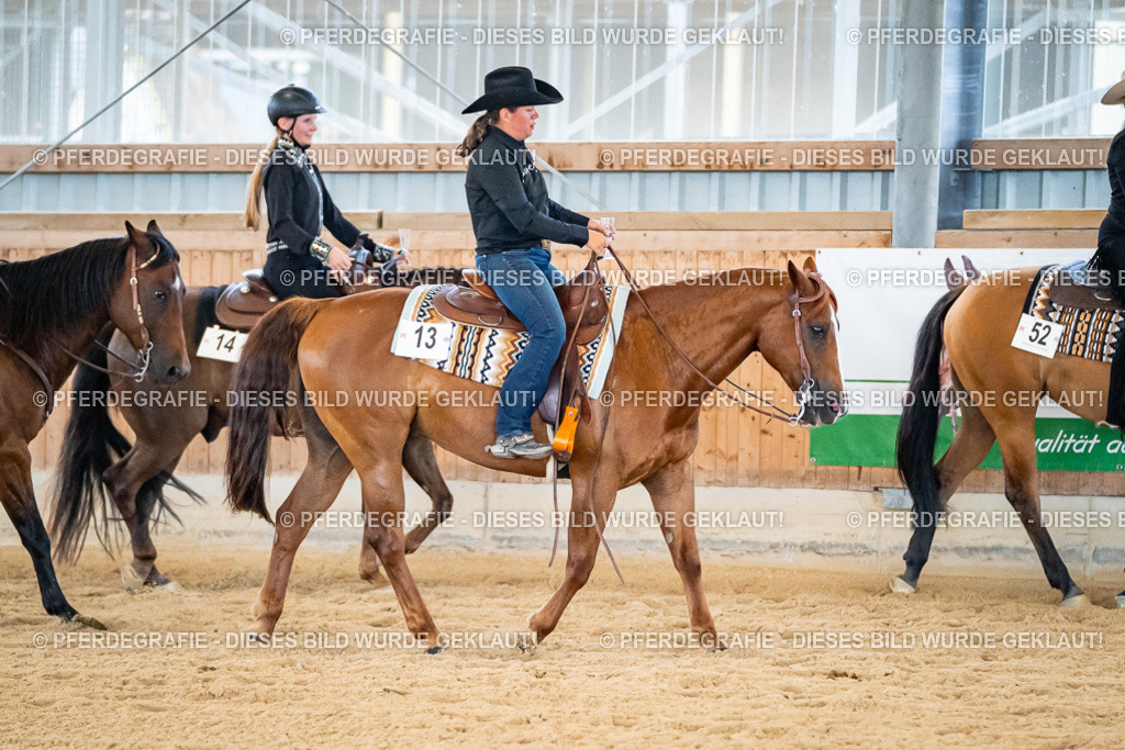 DSC09293 | Pferdegrafie