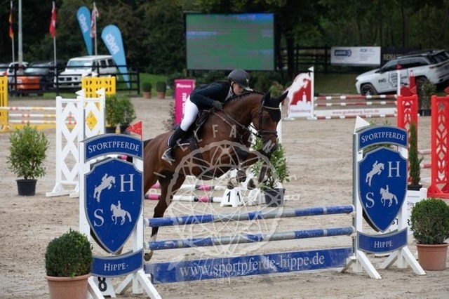 2B4A2306 | pixelfaenger - Realisiert mit Pictrs.com