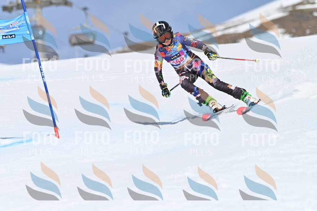 BGV_0359 | holidayphoto