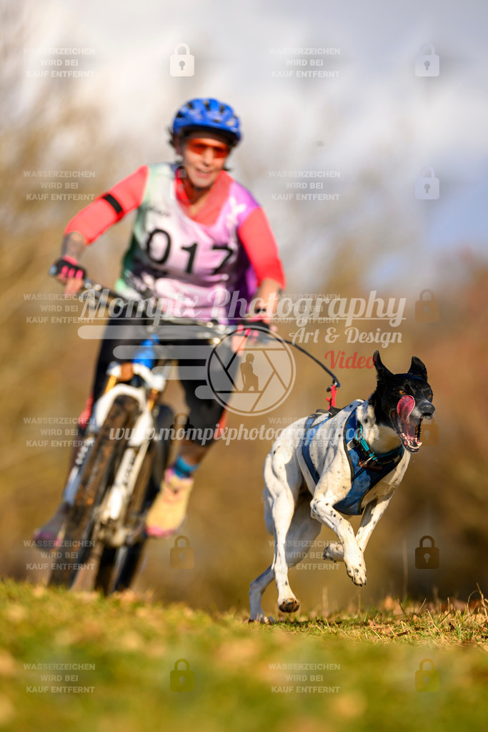 MompixPhotography_10Schwabentrail2026_SO_Bike-6 | PayLife