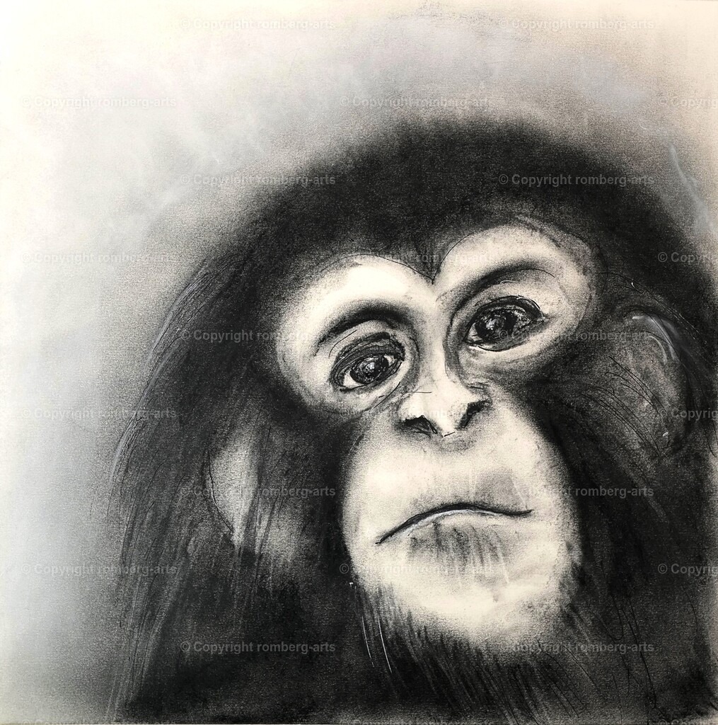 L1020029 (2) | romberg-arts, romberg-arts.de, www.romberg-arts.de, Foto_Online_Shop, Julia Fuhrmann, Köln, Fotos, Fotografie, Fotokunst, Kunstdrucke, Naturfotos, Aktfotos, Nacktfotos, schwarz_weiß_Fotos, Blumenfotos, Blumen, Tiere, Beton, Korrosion, Lächeln, Drucke