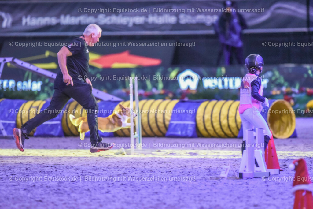 20231115_Dog-Agility_0082_TOMsPiC | Foto: Thomas Hartig