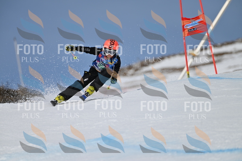 BGV_7231 | holidayphoto