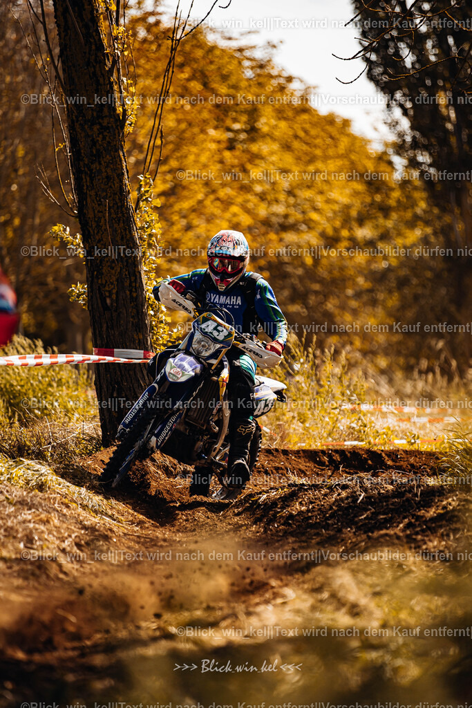 E68A2516 | blick_win_kel