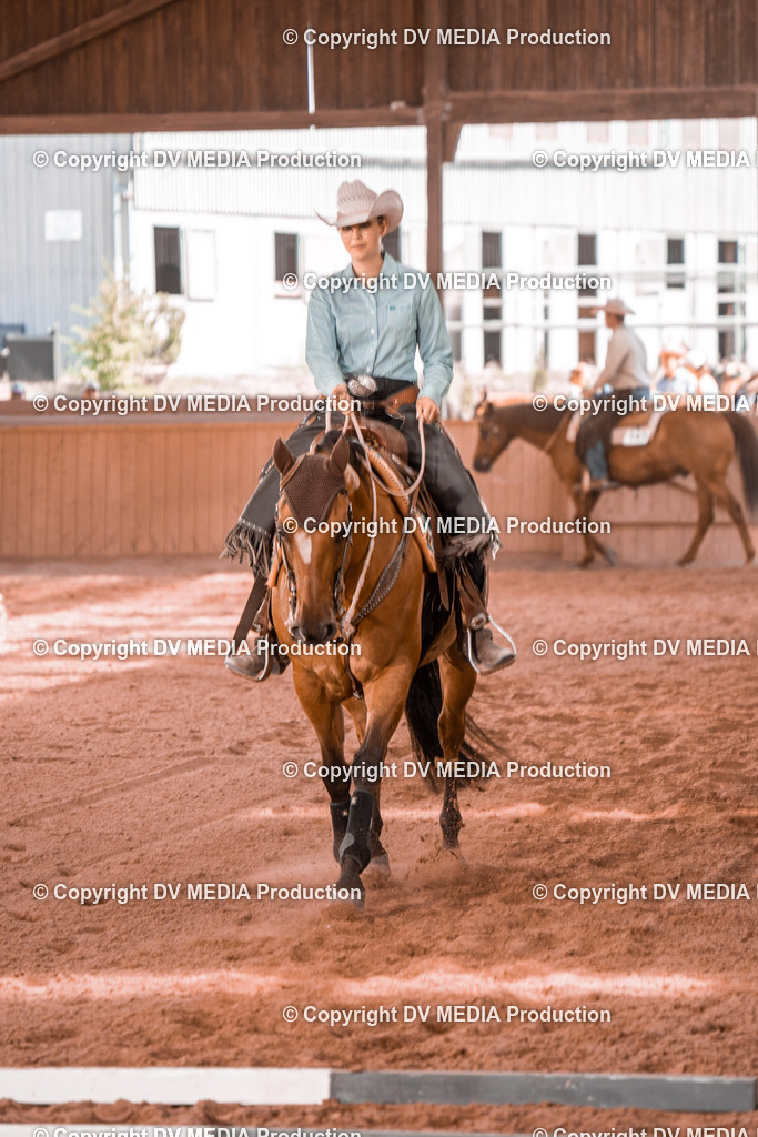 NE300343 | dv-media-shop - Realisiert mit Pictrs.com