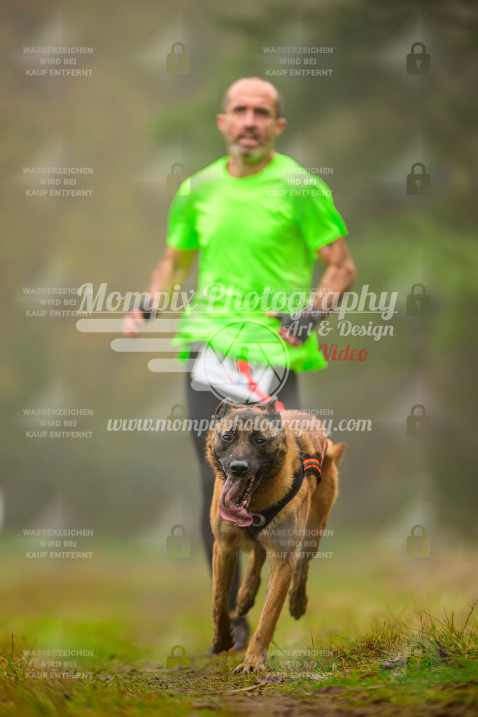 MompixPhotography_Bischwiller2025_Canicross-152 | mompixphotography