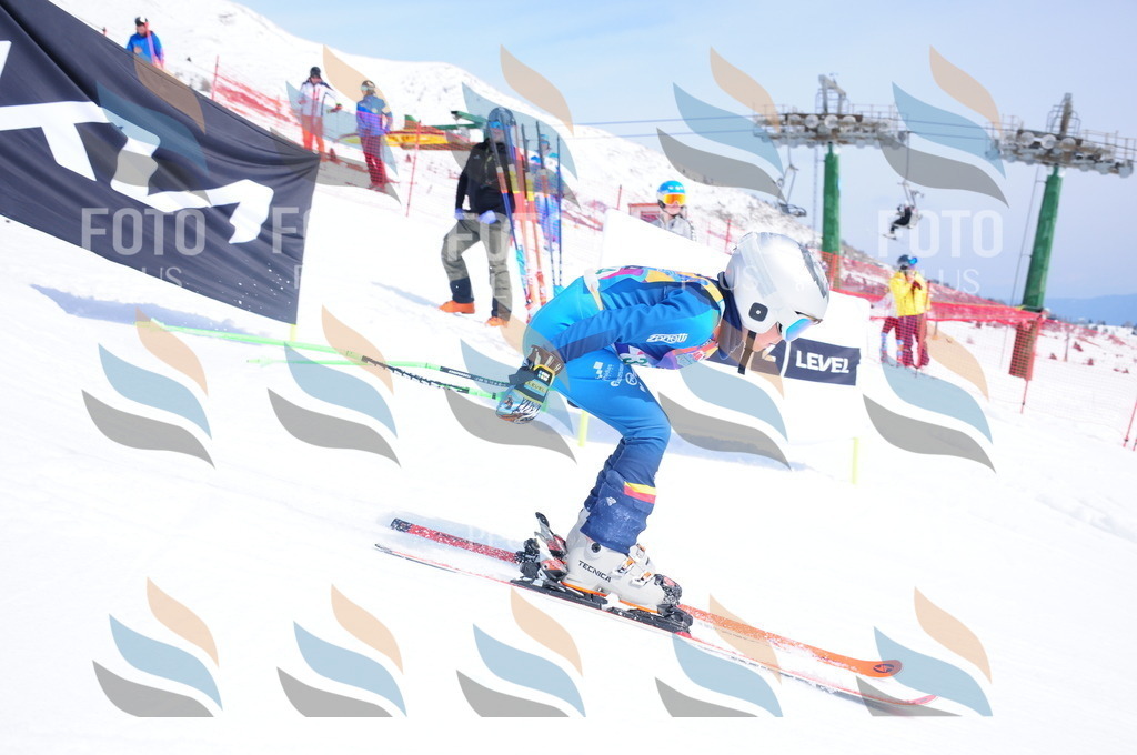 DSC_3222 | holidayphoto