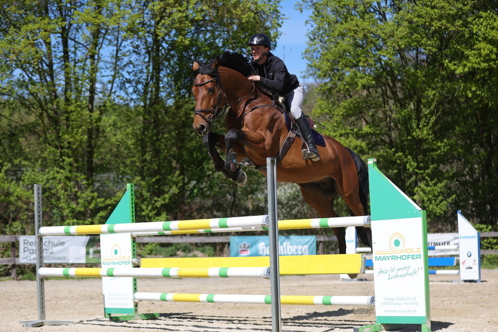 0P6A8164 | Willkommen bei Brunnmayr - Design & Fotografie – Ihrem Spezialisten für Reitturniere und Pferdeveranstaltungen in Oberösterreich, Salzburg und Bayern! Seit über 17 Jahren sind wir leidenschaftlich dabei.