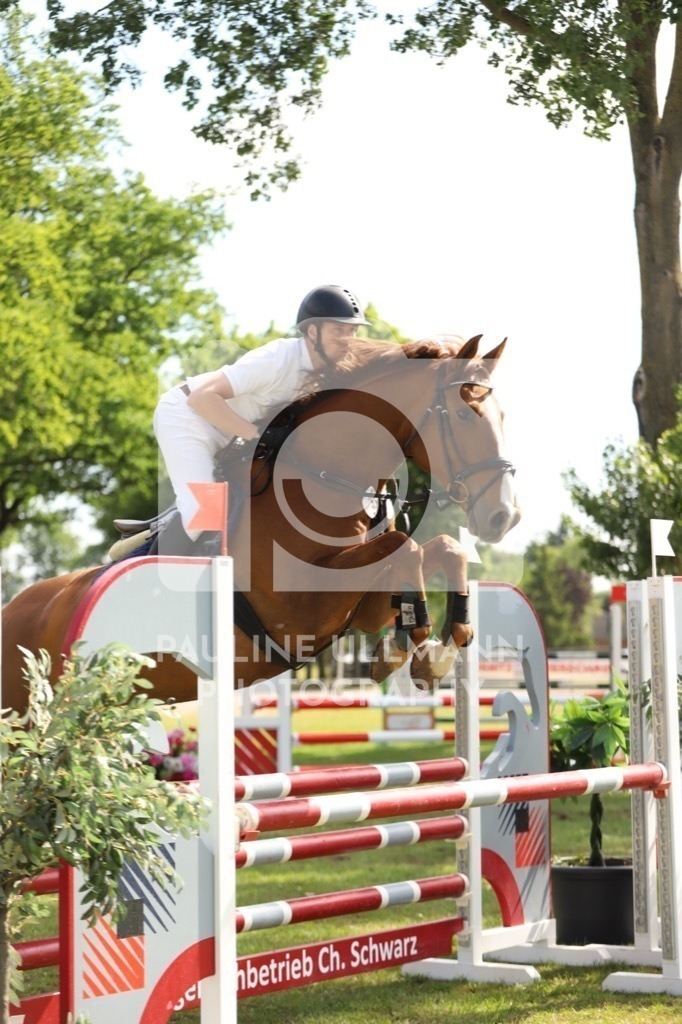 IMG_7100 | Pauline Ullmann Photography - Realisiert mit Pictrs.com