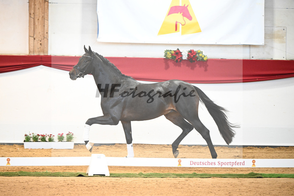 Kat-Nr. 47 So Perfect x Quaterback_Wadenspanner_43231507 | hf-fotografie - Realisiert mit Pictrs.com