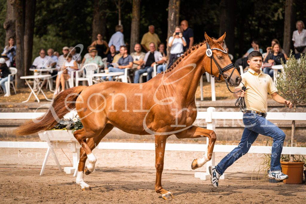 5.Fr00028 | Leoni Ertmer Photography - Realisiert mit Pictrs.com