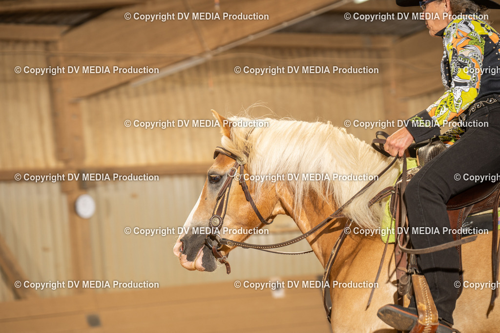 NID03030 | dv-media-shop - Realisiert mit Pictrs.com