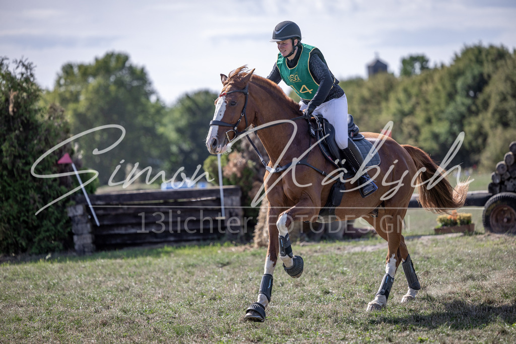 20260906-_3LI6092 | Tierfotografie Pferde, Hunde, Katzen, Haustiere.
Turnierfotografie Reitturniere, Reiten, Springreiten, Dressur in Hanau, dem Main-Kinzig-Kreis und dem Rhein-Main- Gebiet um Frankfurt