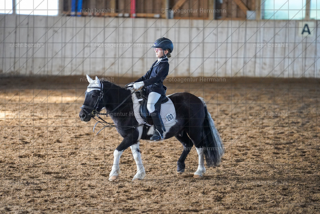 20230916-FAH08720 | Landsberg am Lech 2023, Turnierbildern, Turnierbilder Bayern, Reitsportfotograf, Pferdefotograf Bayern, Turnierfotos Landsberg, Fotoagentur Herrmann, Turnierfotografen Bayern