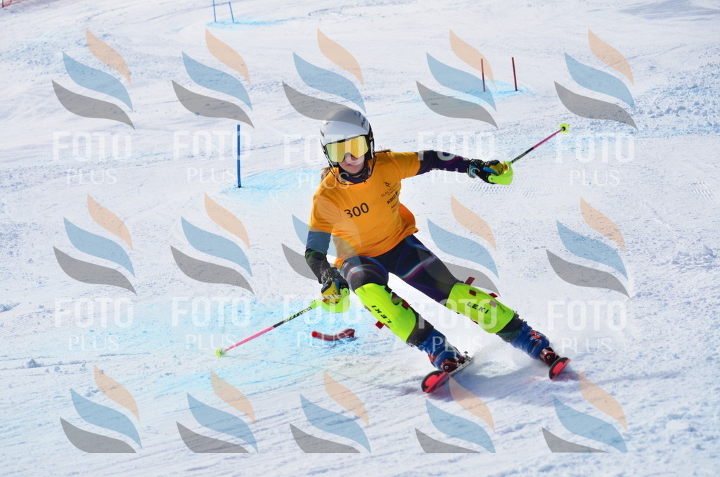 C9459 | holidayphoto