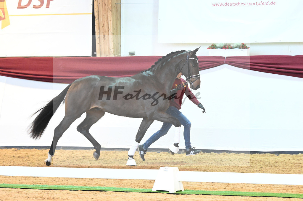 Kat-Nr. 16 v. De Beau_Schult_66220217 | hf-fotografie - Realisiert mit Pictrs.com