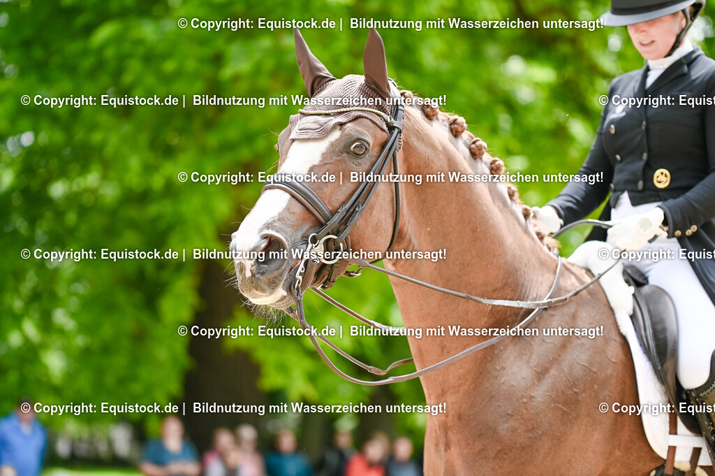 20250607_1_GP-Tour_Dressage_0400 | Foto: Thomas Hartig