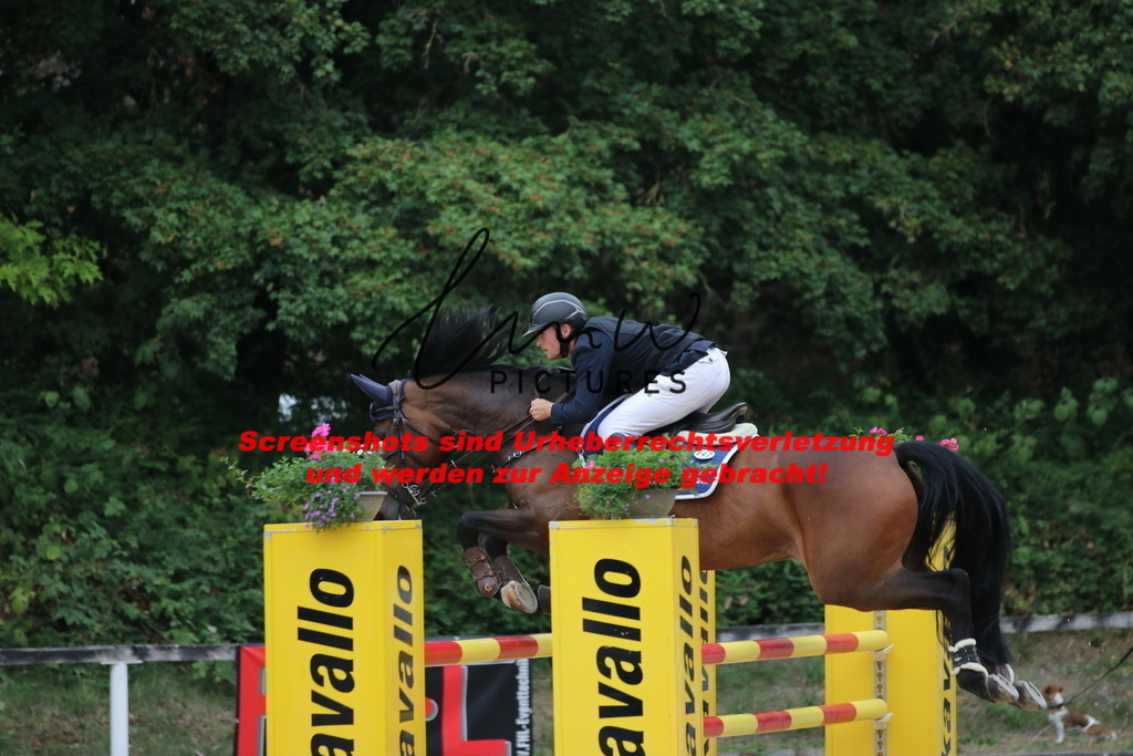 IMG_2620 | lmwpictures - Realisiert mit Pictrs.com