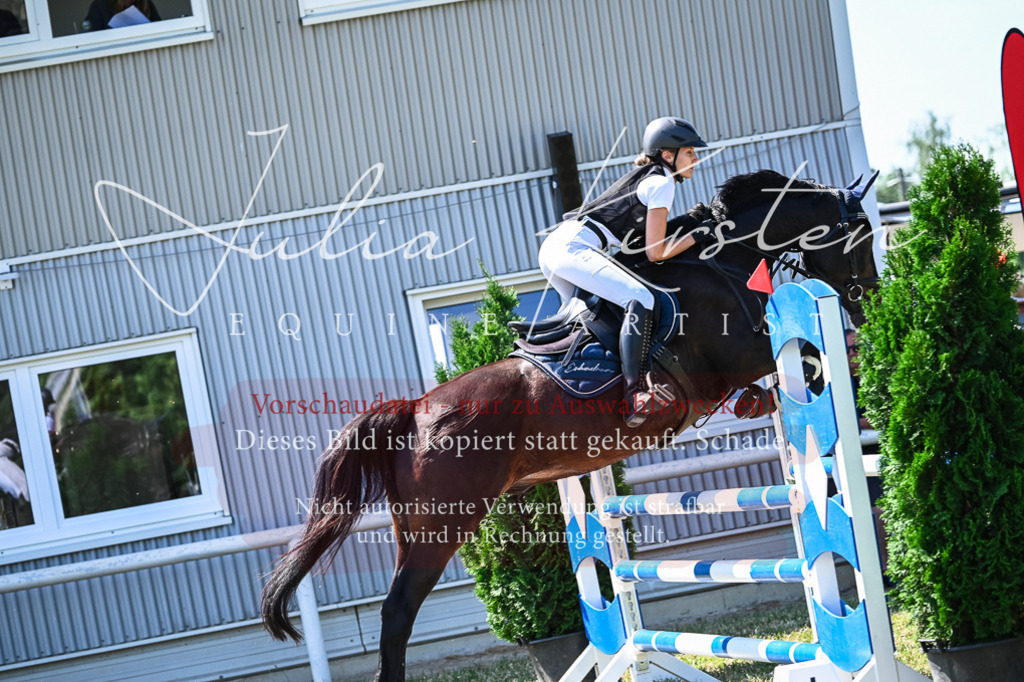 DSC_1107 | Pferde- und Turnierfotografie in Westsachsen. Pferdeportraits, Auftragszeichnungen und intuitive Kunst.