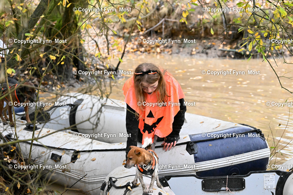 DSC_6874 | Hallo und herzlich Willkommen auf meiner Shop-Seite Fynn Most.

Ich wünsche Dir viel Spaß beim stöbern durch die Bilder, wenn Du Fragen hast oder Bilder vermisst, kannst du mir gerne eine Nachricht schreiben. - Realisiert mit Pictrs.com