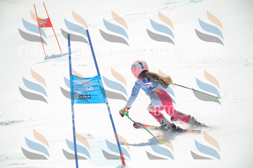 _ELE5829 | holidayphoto