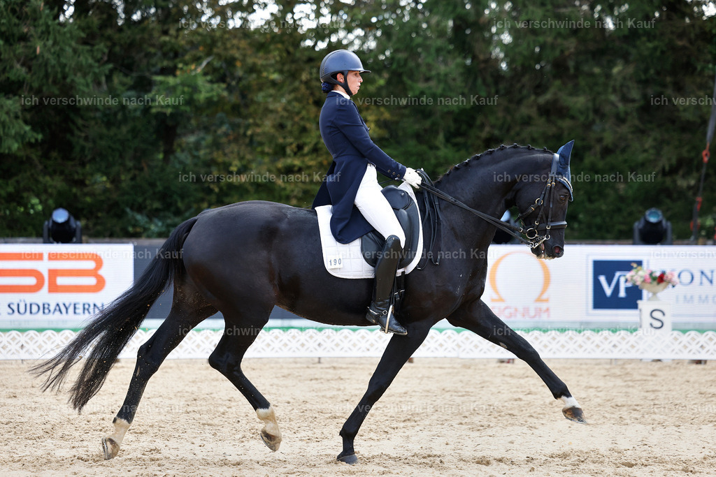 10-190-ST.GEORG SPECIAL -StoibPH-3231 | working equitationturnier fotograf videograf stoibphotography marixx film working equitation deutschland reitsport turnierfotografie eventfotografie equestrian events