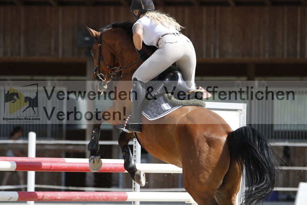 _MG_5017 | equestrian-live-com