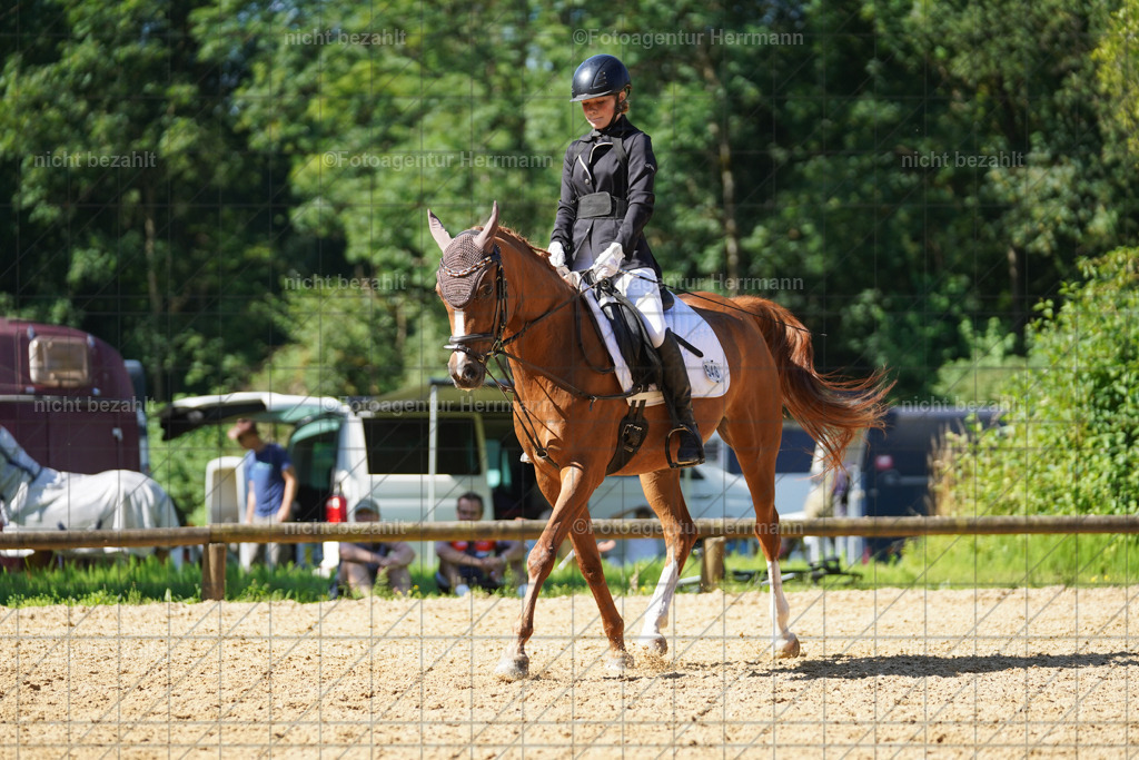 20240706-FAH04827 | Grafing Turnierfotos, Reitverein Ebersberg, Turnierfotografen Bayern, reitsportbilder, Pferdefotograf, reitsportfotograf, Sportbilder, Reitsportfotografie, Fotoagentur Herrmann, Turnierfotograf