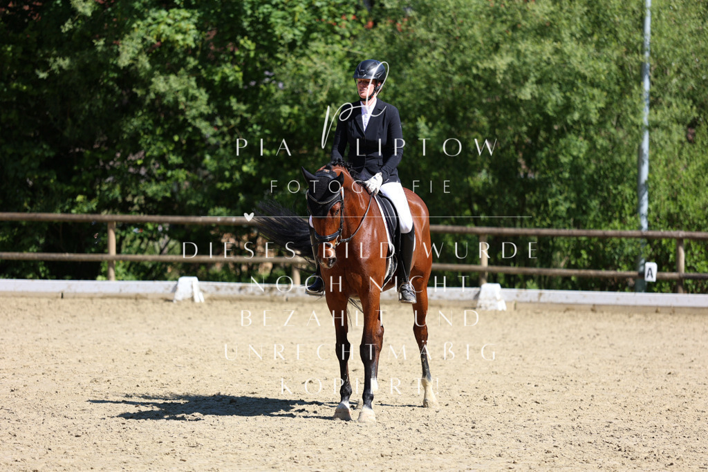 IMGS0663 | pl-fotografie