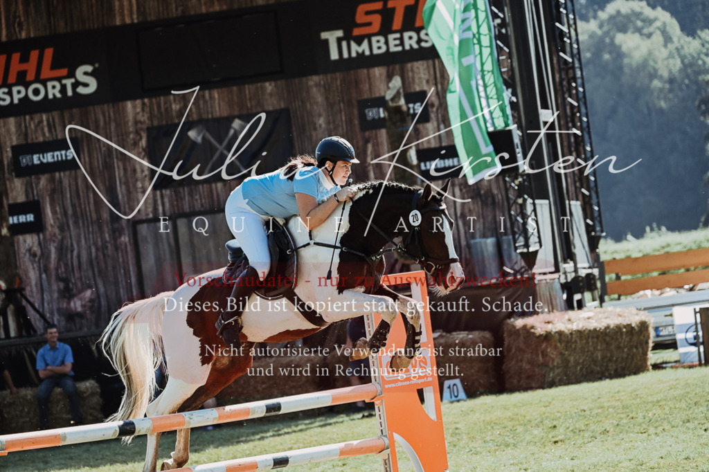 DSC_5476 | Pferde- und Turnierfotografie in Westsachsen. Pferdeportraits, Auftragszeichnungen und intuitive Kunst.