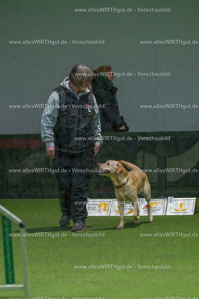 7R504589 | Professionelle Tierfotografie in Mönchengladbach von Daniel Wirth (allesWIRTHgut). Liebevolle & natürliche Bilder von Hunden & Katzen für unvergessliche Erinnerungen.