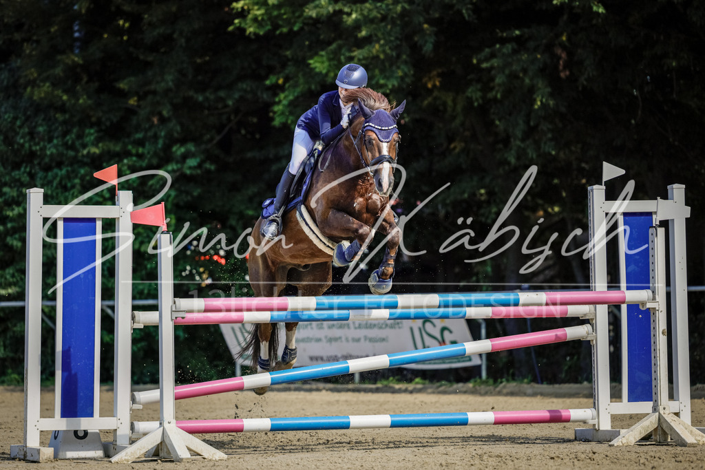 20250906-_3LI3903 | Tierfotografie Pferde, Hunde, Katzen, Haustiere.
Turnierfotografie Reitturniere, Reiten, Springreiten, Dressur in Hanau, dem Main-Kinzig-Kreis und dem Rhein-Main- Gebiet um Frankfurt