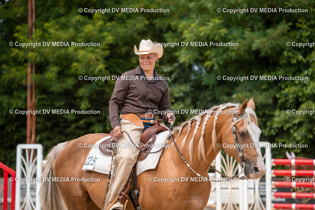 EWP_6376 | dv-media-shop - Realisiert mit Pictrs.com