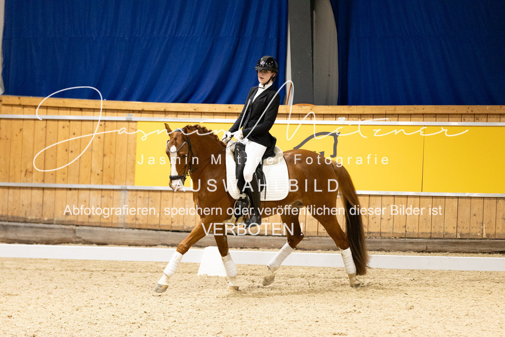 126A8719 | jasminmetznerfotografie