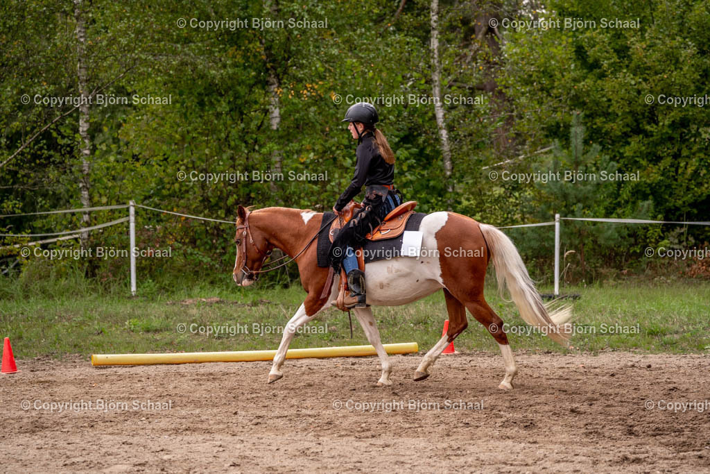 SAL03482 | BS-foto