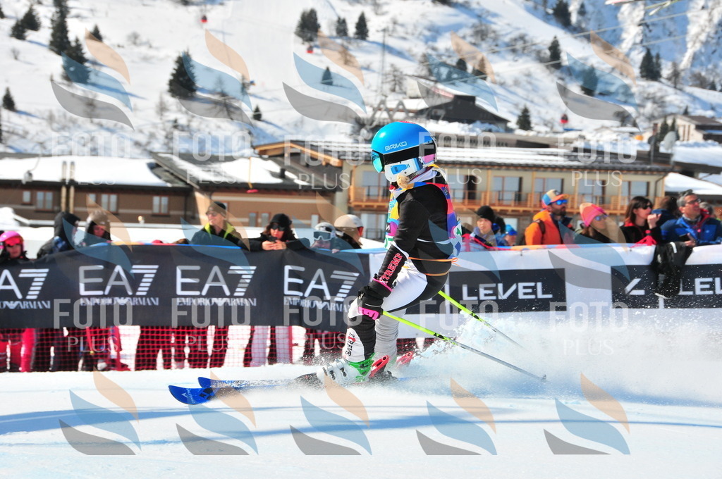 DSC_1019 | holidayphoto