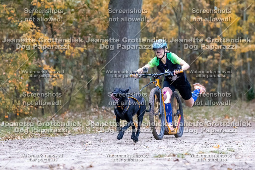 Dog Paparazzi - SD CaniX Championship 2025-180 | Dog Paparazzi Jeanette Grottendiek Fotografie & Videografie - Realisiert mit Pictrs.com