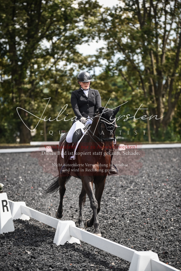 DSC_4795 | Pferde- und Turnierfotografie in Westsachsen. Pferdeportraits, Auftragszeichnungen und intuitive Kunst.