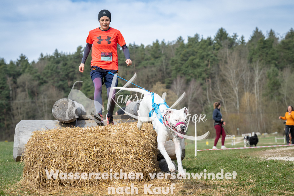 1034_ZZ92689 | kk-dogfotos