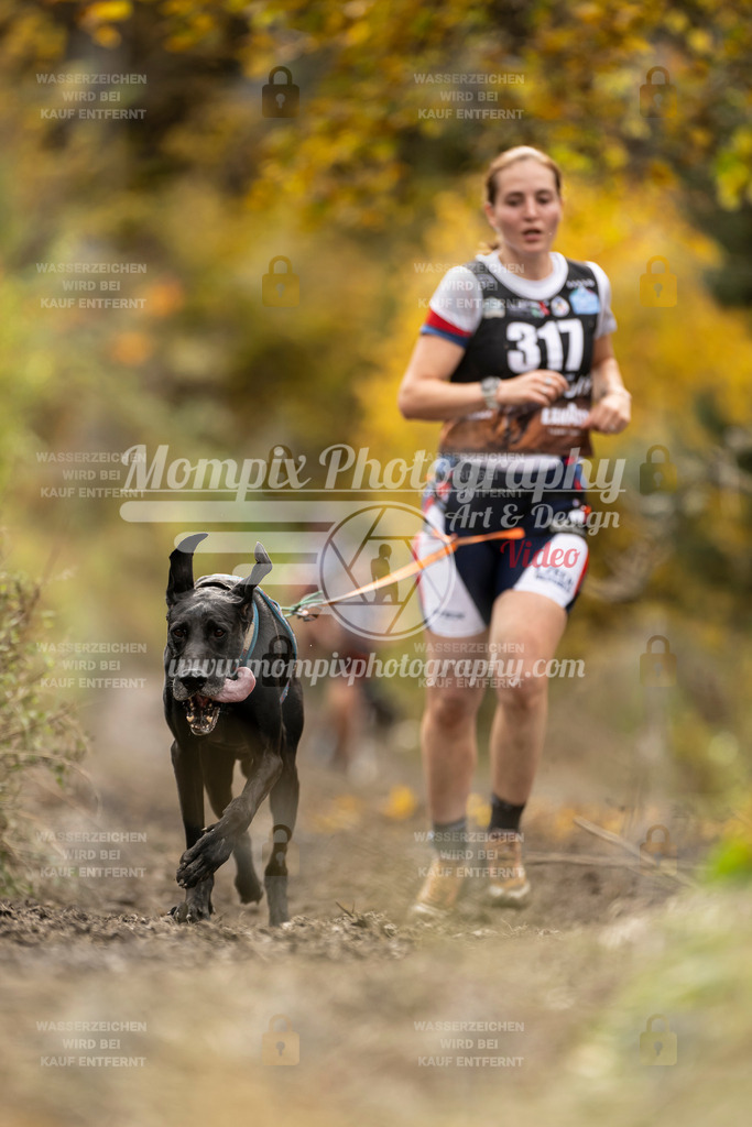 MompixPhotography_ICF_WC_2024_SA_Run_-186 | PayLife