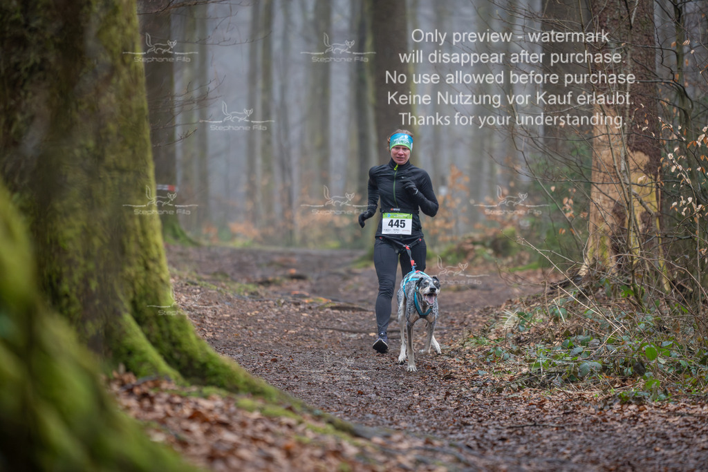 Canix_So-41 | stephaniefillaphotographie - Realisiert mit Pictrs.com