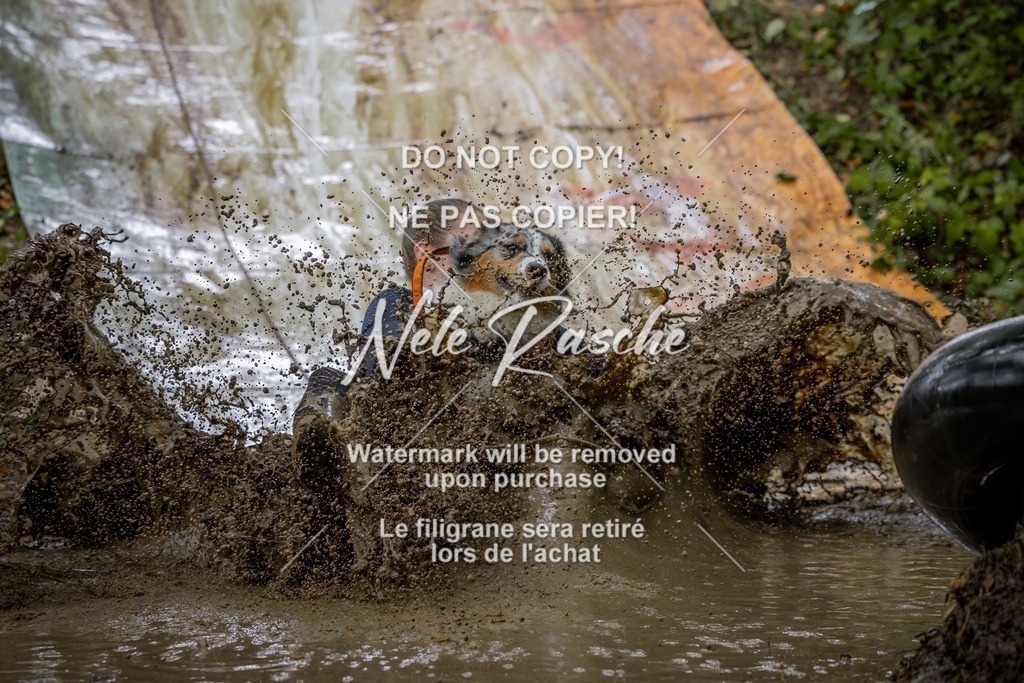 nelerasche_Hunsrück_Sa1430-1500_352-final | nelerasche