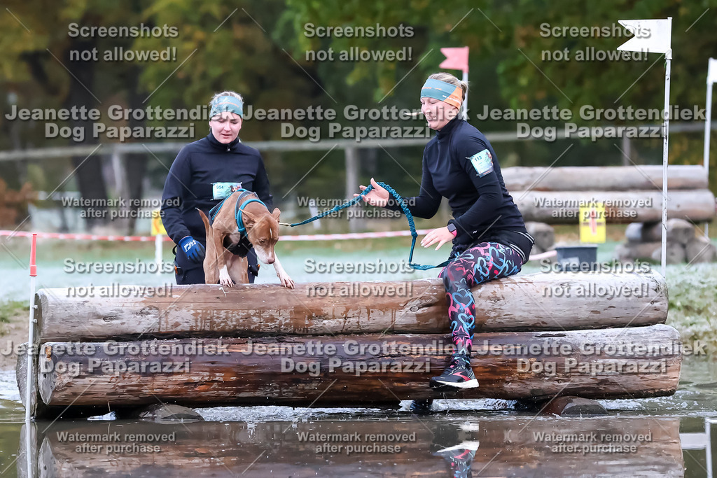 Dog Paparazzi - Strongdog 10-25-6082 | Dog Paparazzi Jeanette Grottendiek Fotografie & Videografie - Realisiert mit Pictrs.com