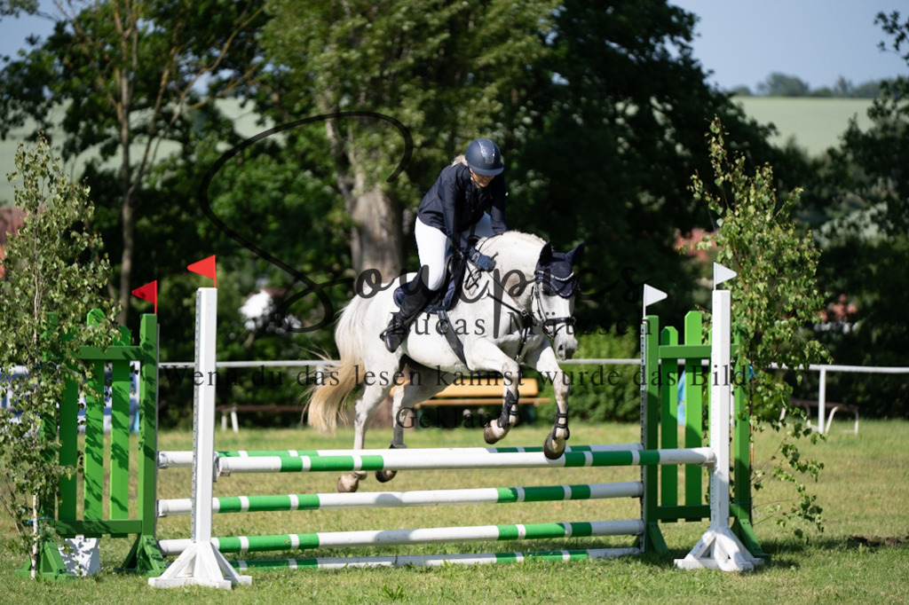 A7V05373 | Pferdefotograf