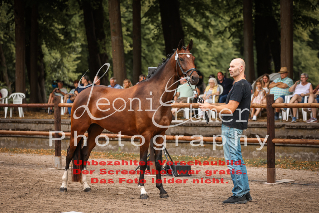 Do2.R00078 | Leoni Ertmer Photography - Realisiert mit Pictrs.com