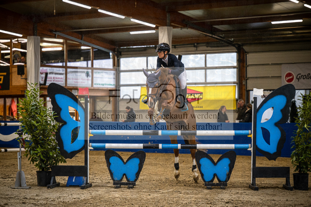 DOS_B1189 | Entdecke hochwertige Reitturnierfotos von Foto Oger. Professionell, emotional und authentisch – jetzt Lieblingsmomente im Shop bestellen.Deutschlandweite Turnierfotografie. - Realisiert mit Pictrs.com