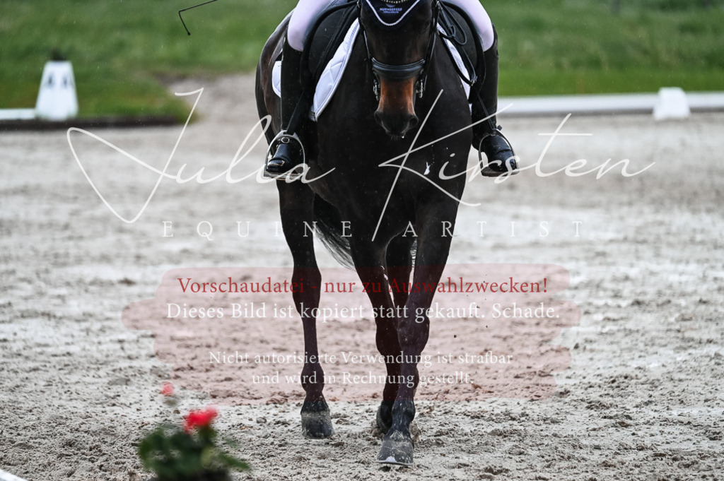 DSC_4689 | Pferde- und Turnierfotografie in Westsachsen. Pferdeportraits, Auftragszeichnungen und intuitive Kunst.